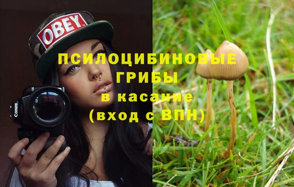 бошки Богородск