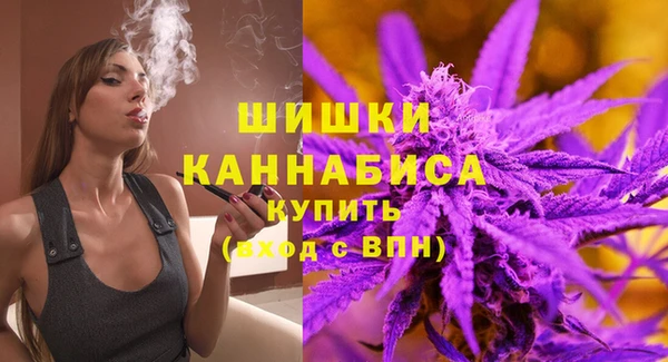 Альфа ПВП Бородино