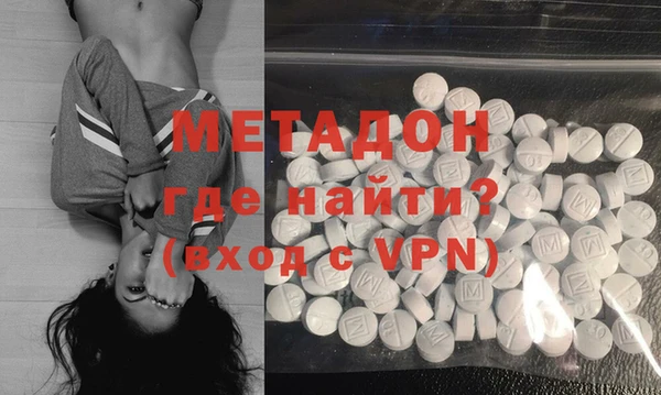 прущие грибы Железногорск-Илимский