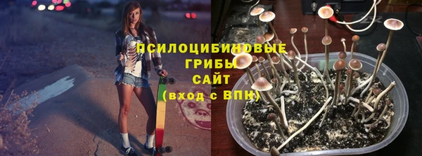 Альфа ПВП Бородино