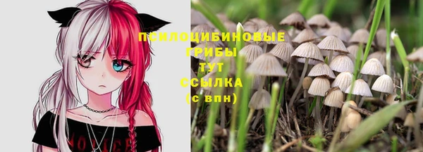 Альфа ПВП Бородино